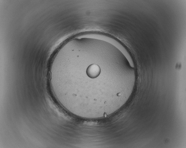 X0000112530440200909141251