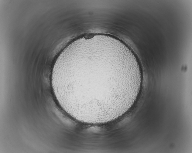 X0000112530441200909141251