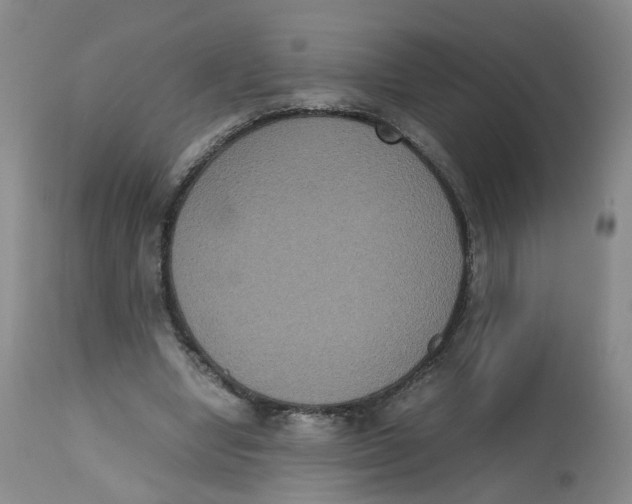 X0000112530442200909141251