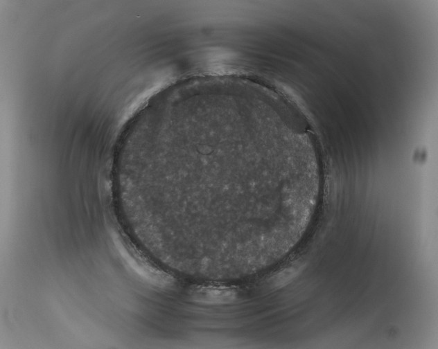 X0000112530443200909141251