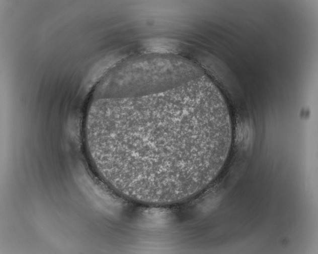 X0000112530444200909141251