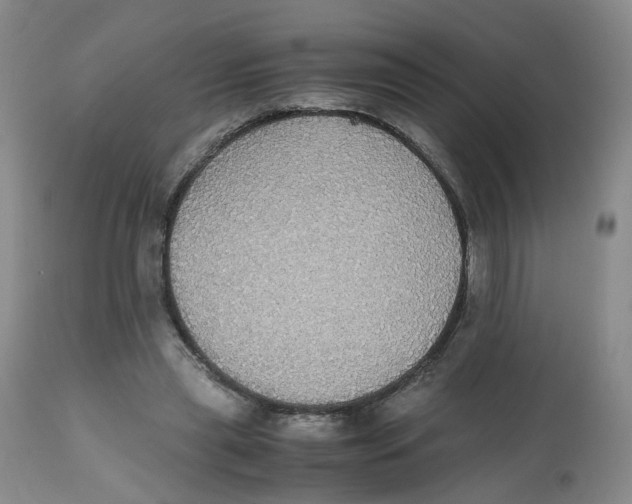 X0000112530445200909141251