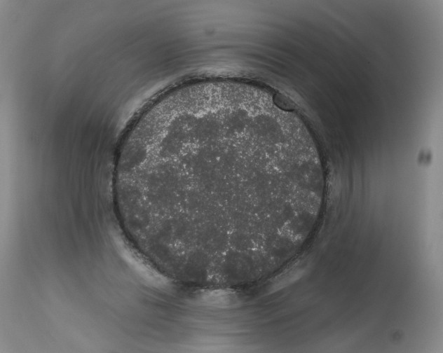 X0000112530446200909141251