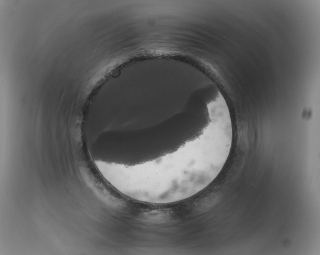 X0000112530447200909141251