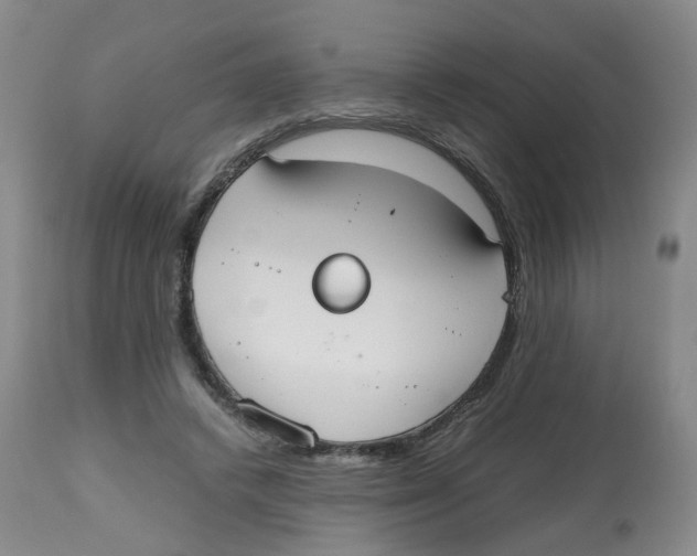 X0000112530448200909141251