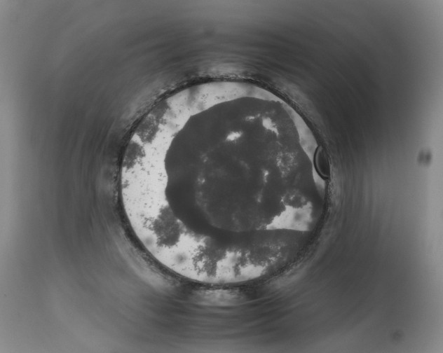 X0000112530449200909141251