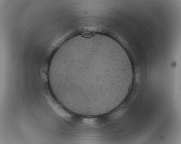 X0000112530450200909141251