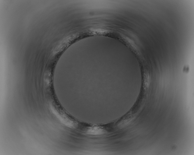 X0000112530451200909141251