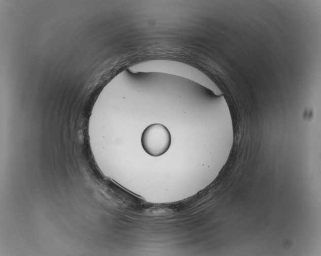 X0000112530452200909141251