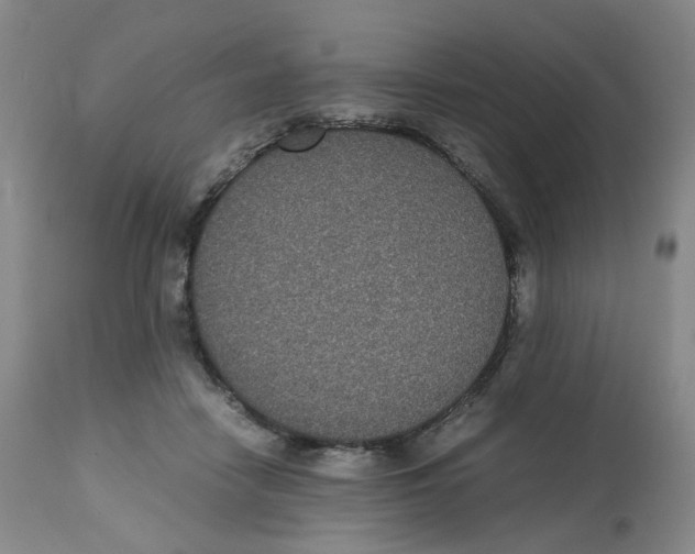 X0000112530458200909141251