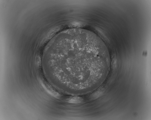 X0000112530459200909141251