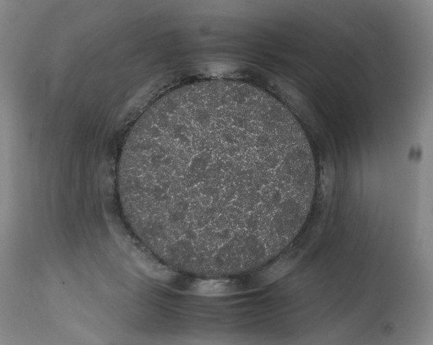 X0000112530461200909141251