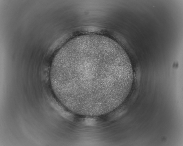 X0000112530462200909141251