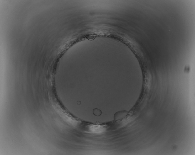 X0000112530465200909141251