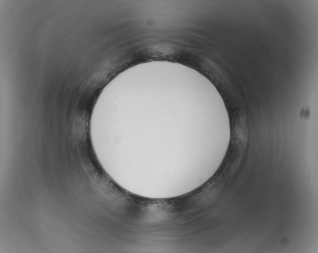 X0000112530468200909141251