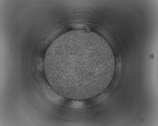 X0000112530469200909141251