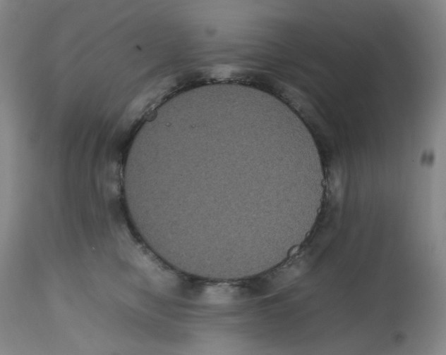 X0000112530470200909141251