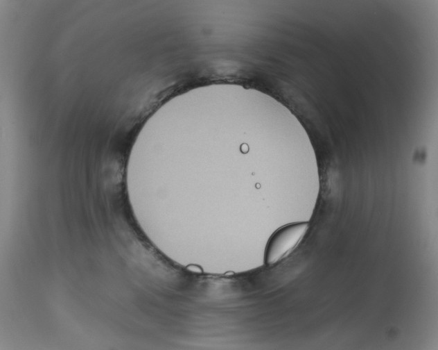 X0000112530472200909141251