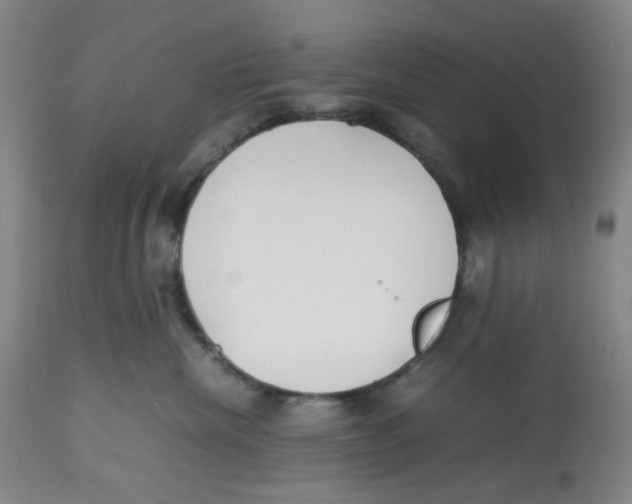 X0000112530476200909141251