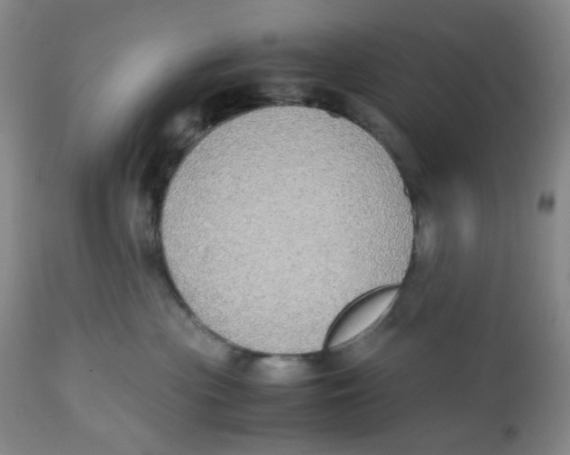 X0000112530477200909141251