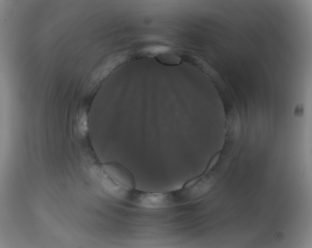 X0000112530479200909141251