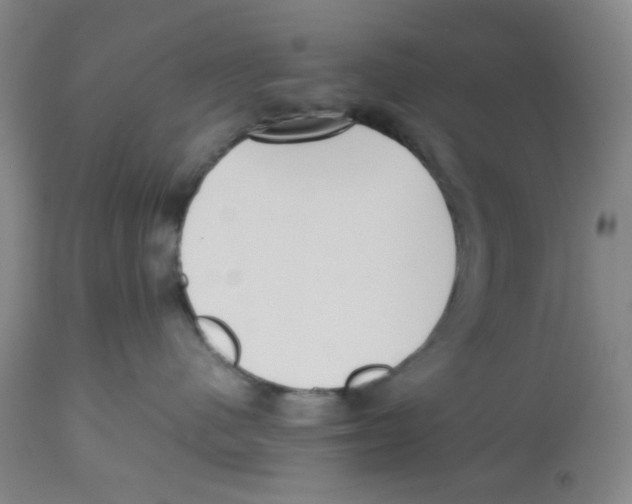 X0000112530480200909141251