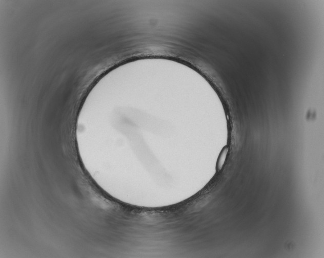 X0000112530481200909141251