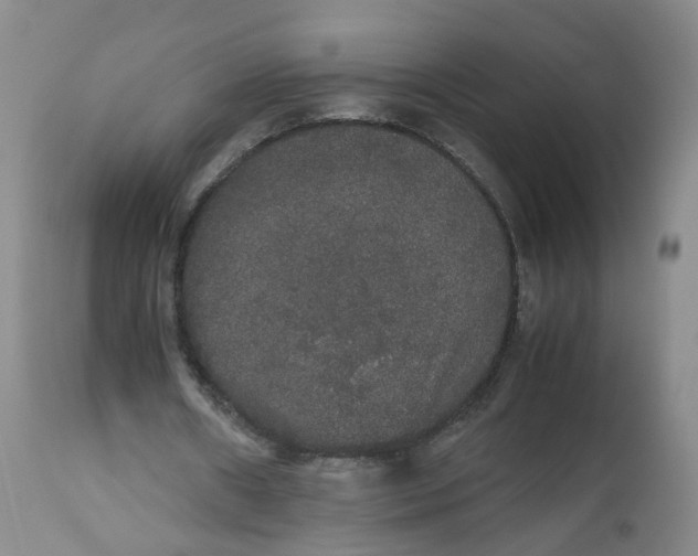 X0000112530482200909141251