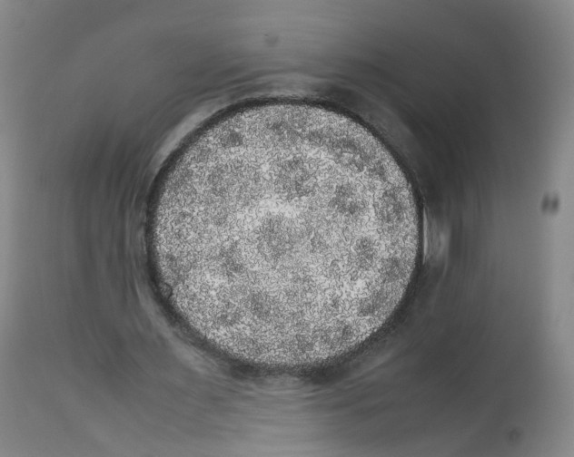 X0000112530483200909141251