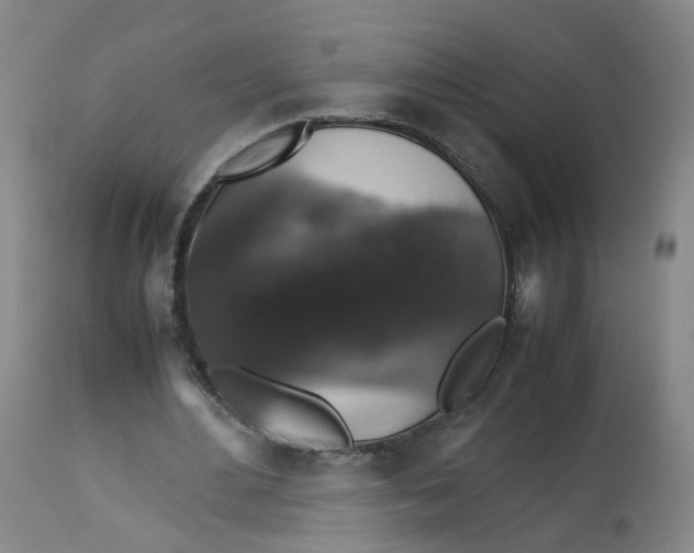 X0000112530484200909141251