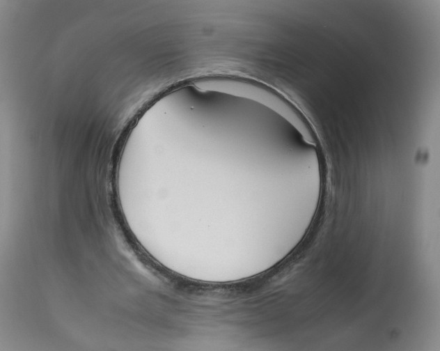 X0000112530485200909141251