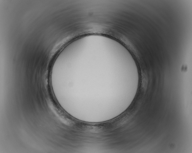 X0000112530486200909141251