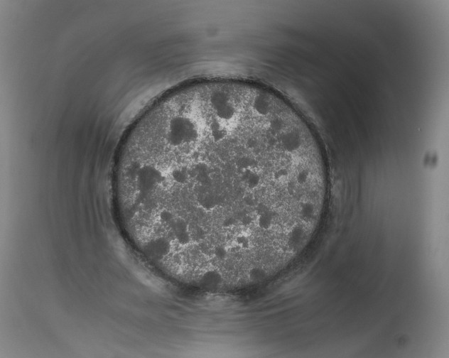 X0000112530487200909141250