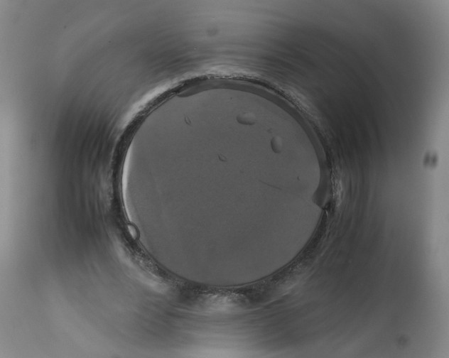 X0000112530488200909141250