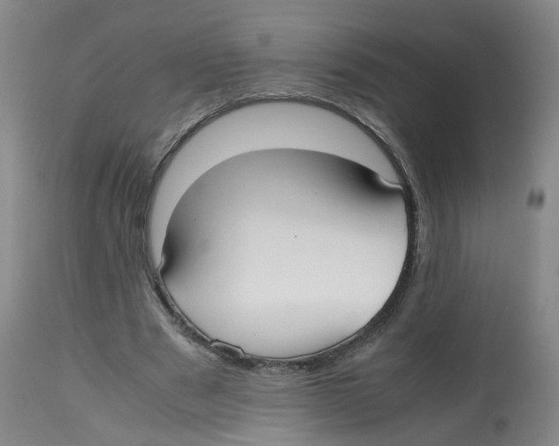 X0000112530489200909141250