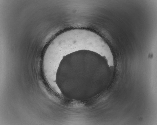 X0000112530491200909141250