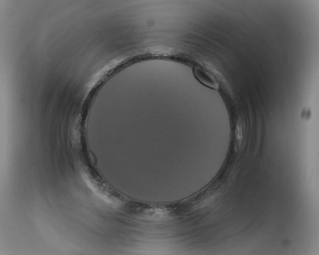 X0000112530492200909141250