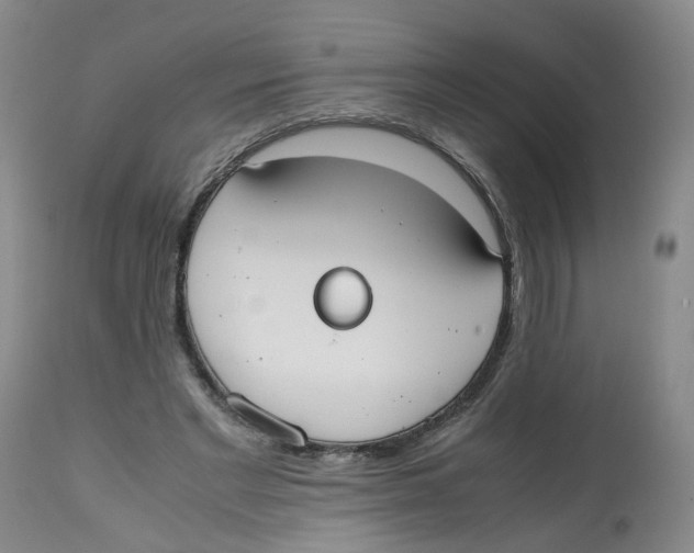 X0000112530493200909141250