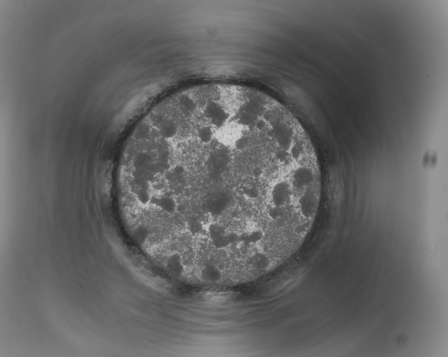 X0000112530495200909141250