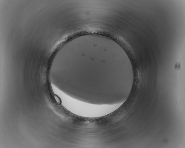 X0000112530496200909141250