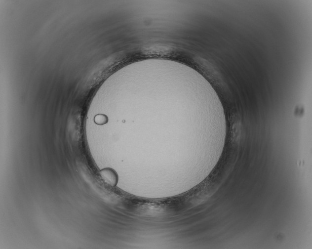 X0000112530498200909141250