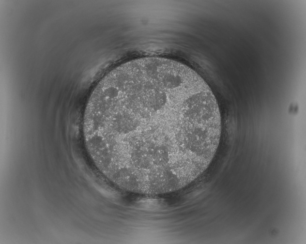 X0000112530499200909141250