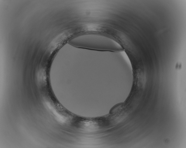 X0000112530500200909141250