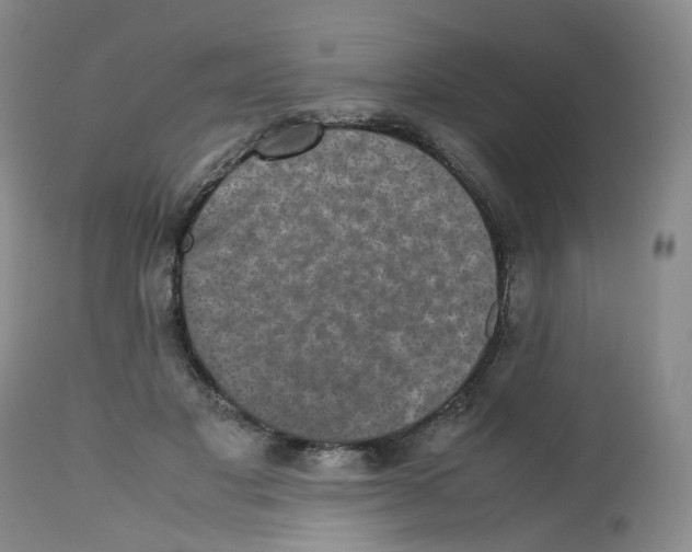 X0000112530501200909141250