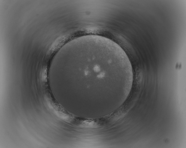 X0000112530502200909141250