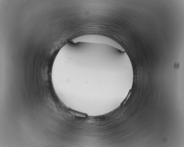 X0000112530504200909141250