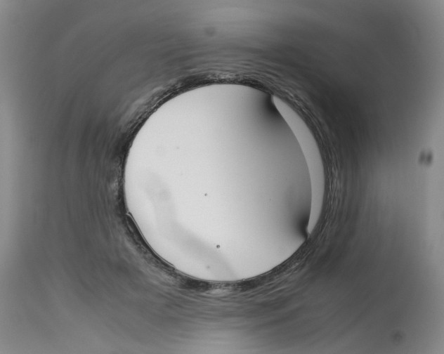 X0000112530505200909141250