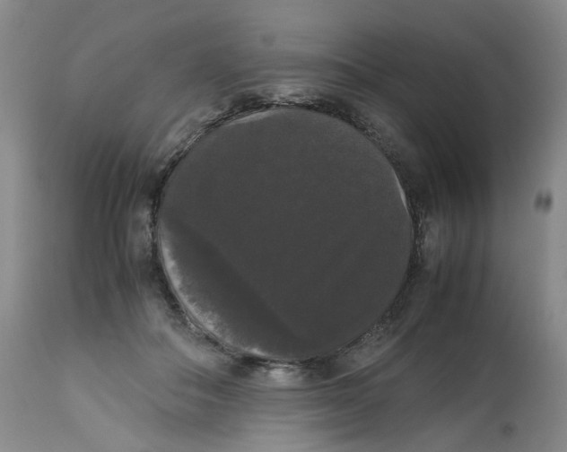 X0000112530506200909141250