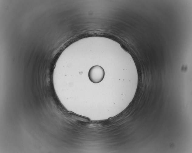 X0000112530508200909141250