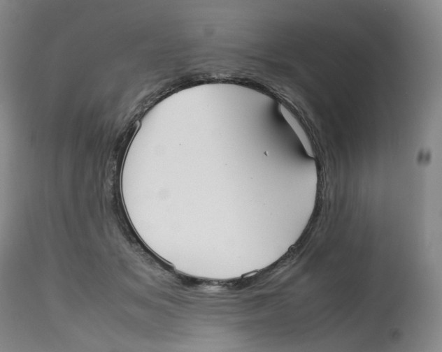 X0000112530509200909141250